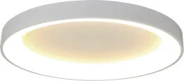 Потолочный светильник Niseko 8018 купить с доставкой по России