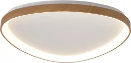 Потолочный светильник Niseko 8059 купить с доставкой по России