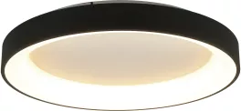 Потолочный светильник Niseko 8023 купить с доставкой по России