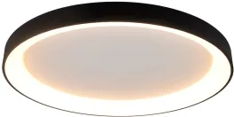 Потолочный светильник Niseko 8639 купить с доставкой по России